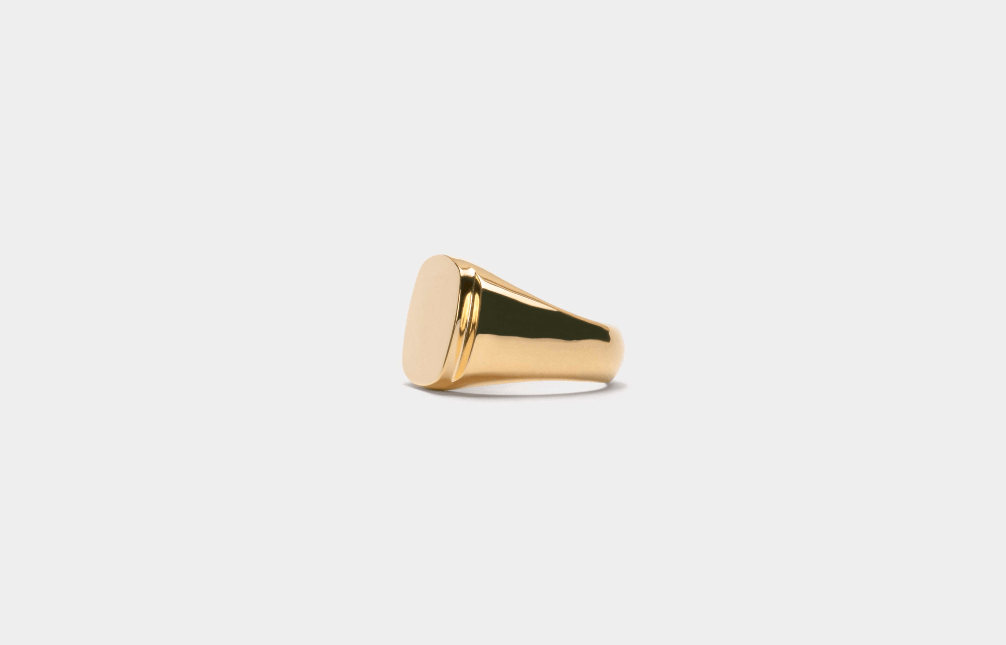 IX Cushion Polished Signet Ring
