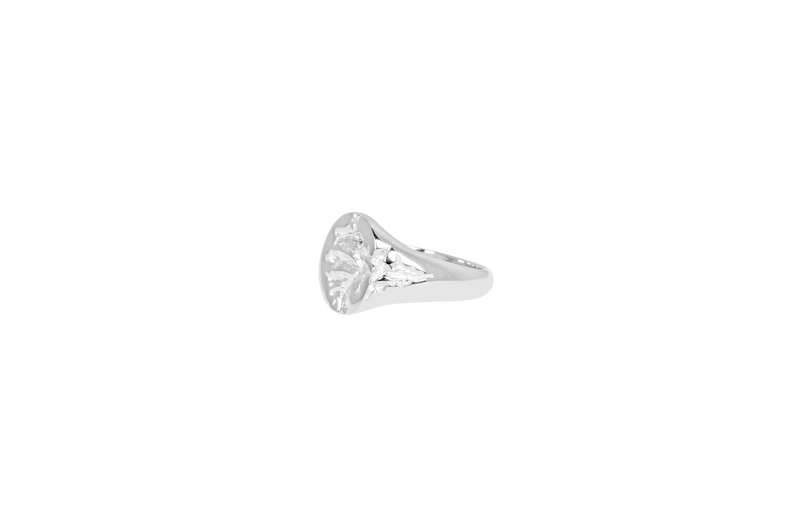 IX Mini Oval Nature Signet Ring Silver